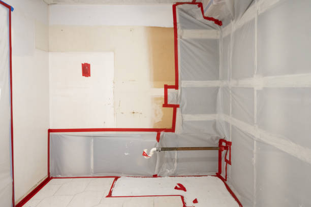 Best Mold Odor Removal Services  in Forsyth, MT